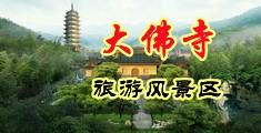 大鸡巴插入骚逼黄片中国浙江-新昌大佛寺旅游风景区